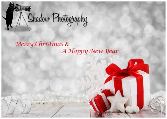 15259568_1432751630091645_1516839848997140191_o